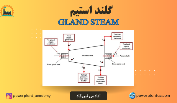 گلند استیم