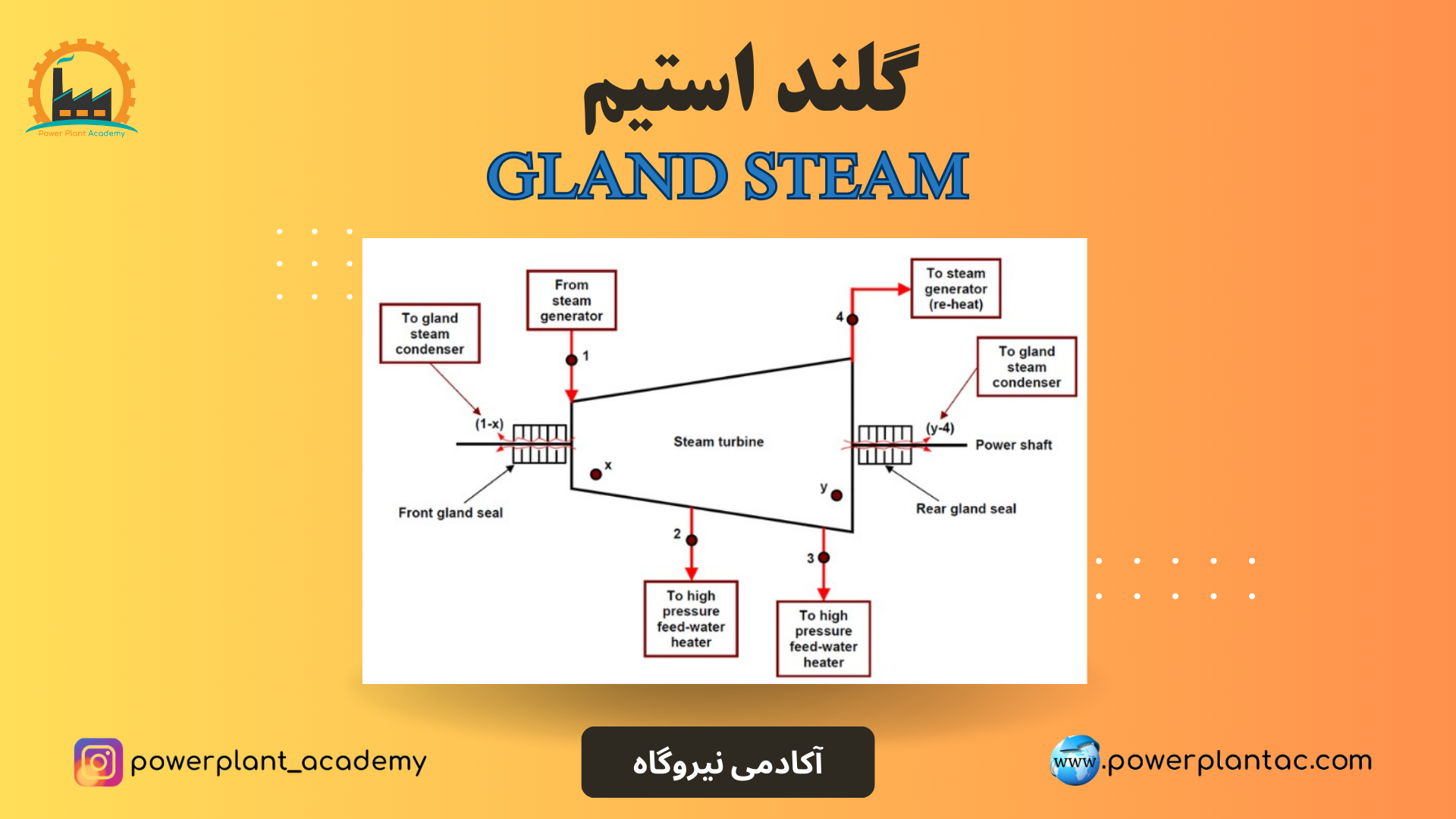 گلند استیم