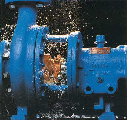 ansi pump leaking